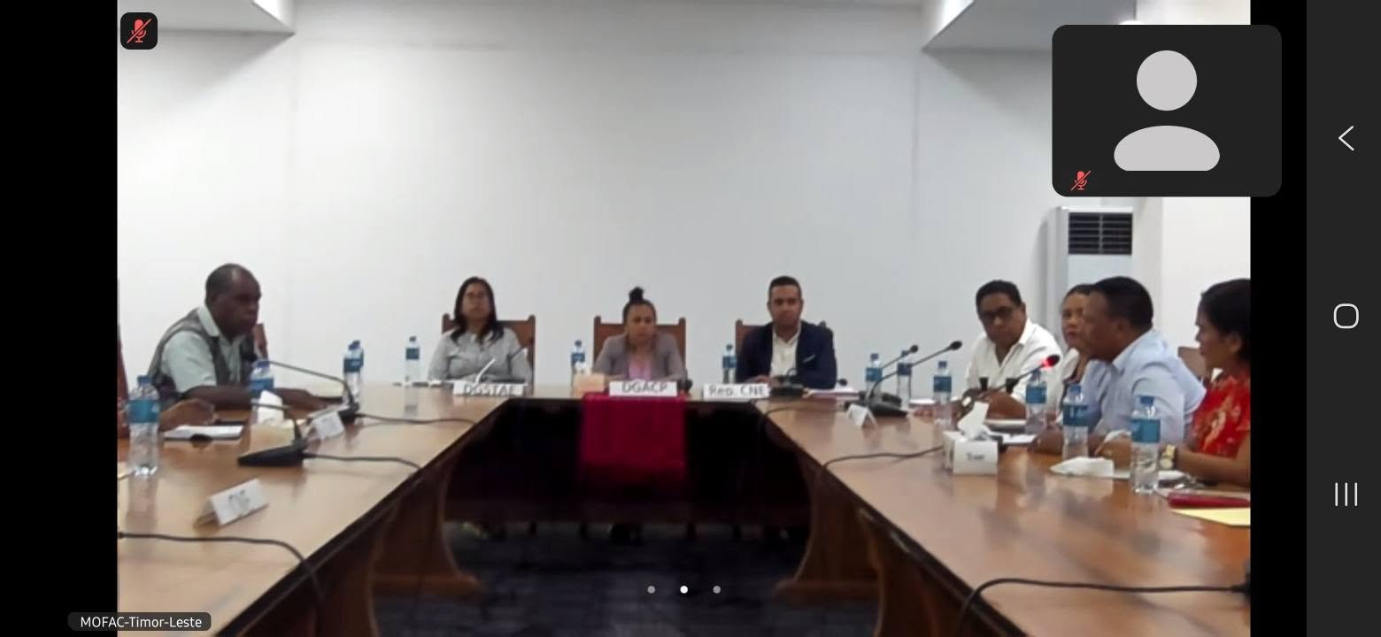 Sesau Zoom Reuniaun Koordenasaun